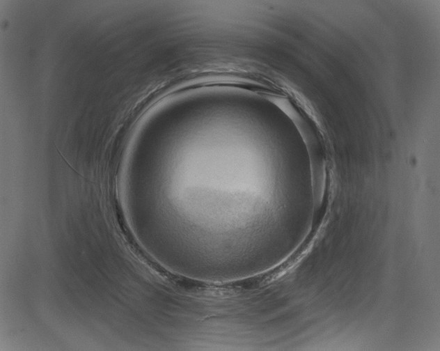 X0000082960305200702011314