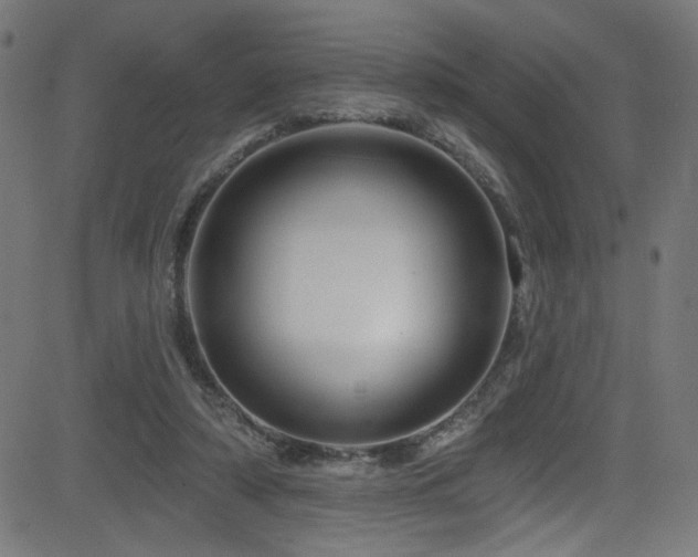 X0000082960306200702011314