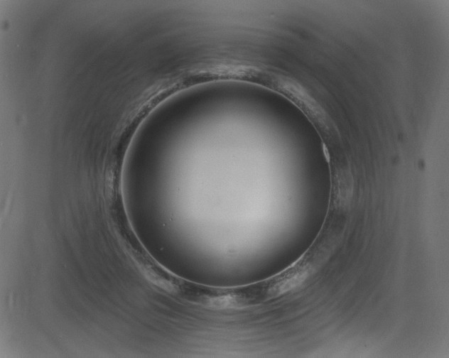 X0000082960309200702011314
