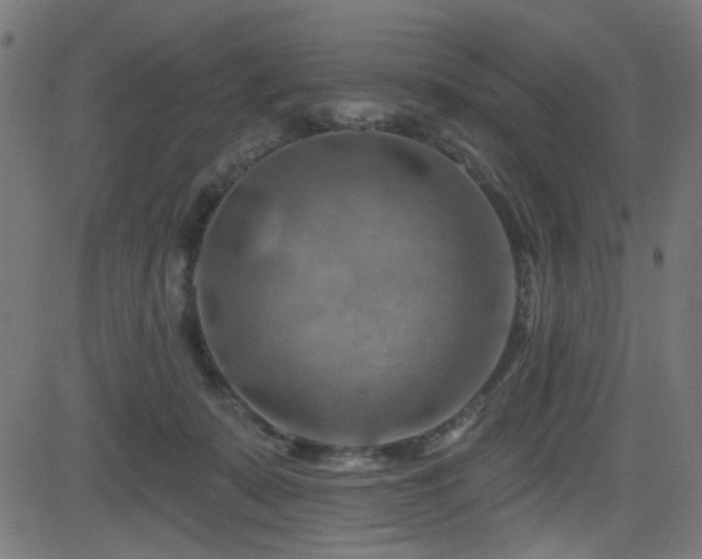 X0000082960319200702011314