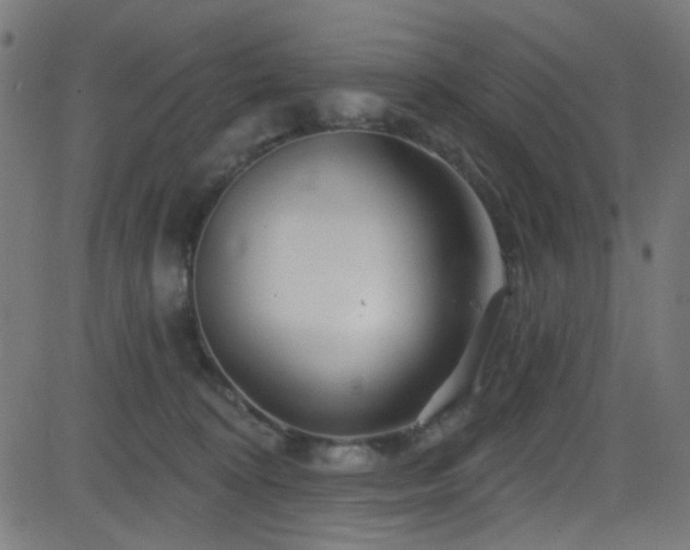 X0000082960324200702011314