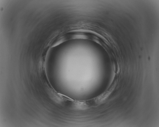 X0000082960333200702011313