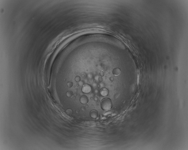 X0000082960339200702011313