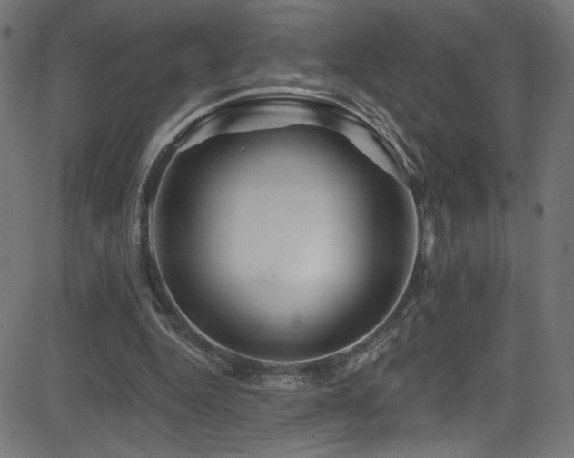 X0000082960344200702011313