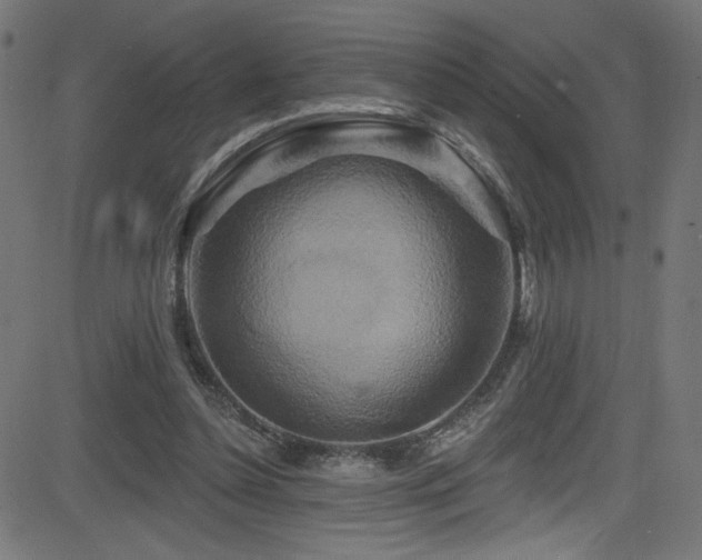 X0000082960348200702011313