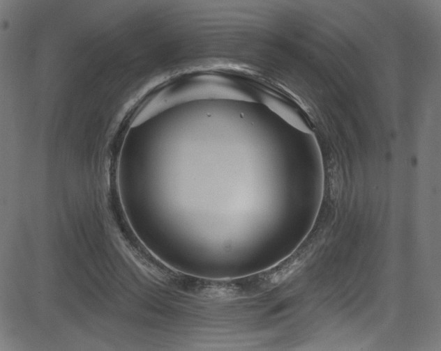 X0000082960350200702011313