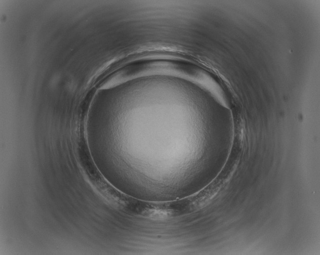 X0000082960352200702011313