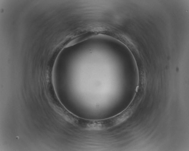 X0000082960362200702011313