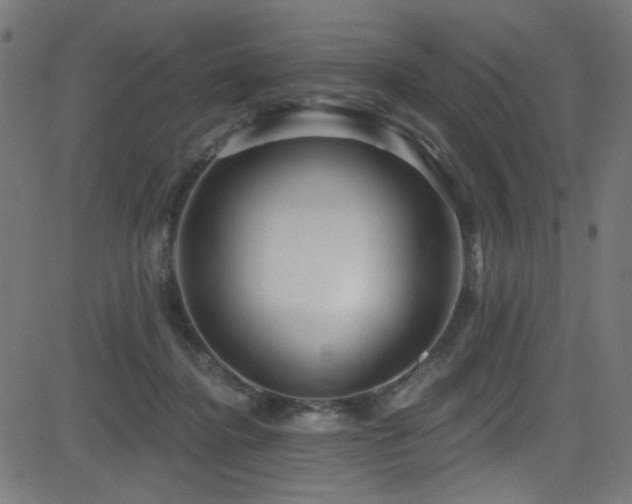 X0000082960364200702011313