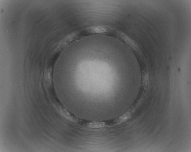 X0000082960373200702011313