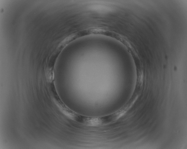 X0000082960383200702011313