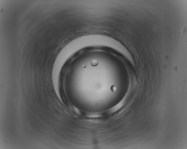 X0000082960384200702011313