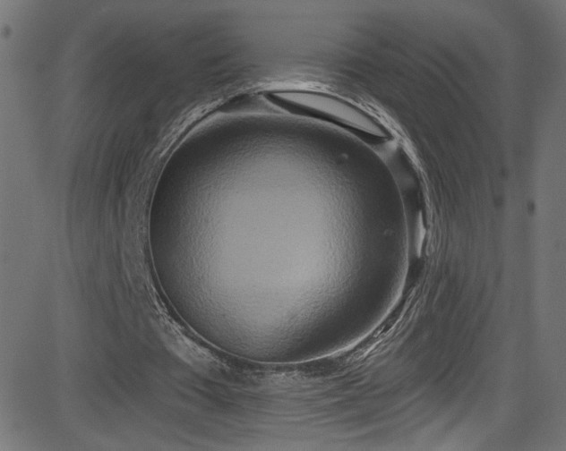X0000082960385200702011313