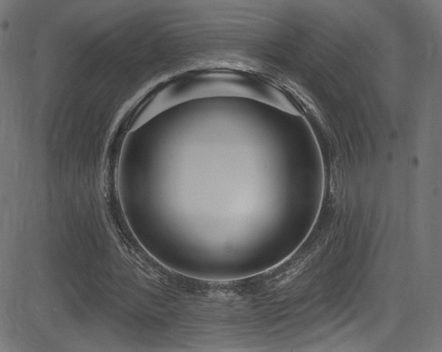X0000082960388200702011313