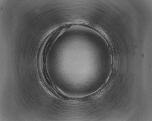 X0000082960389200702011313