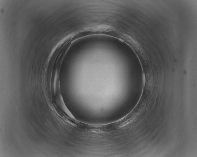 X0000082960392200702011312