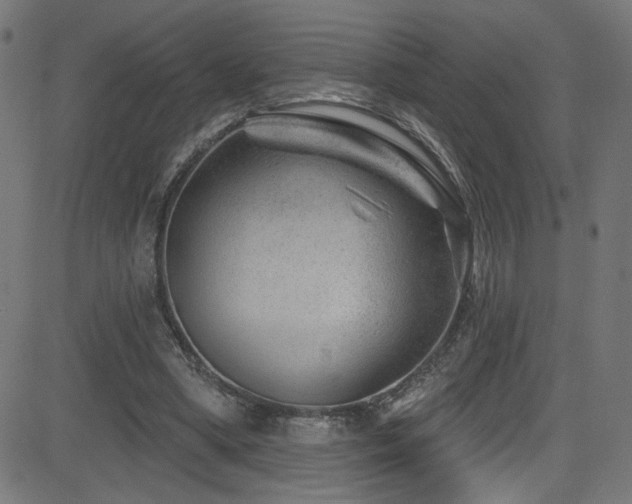X0000082960394200702011312