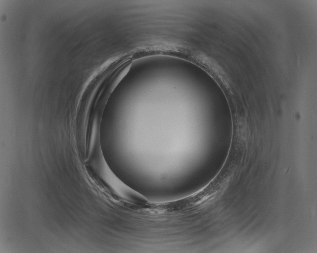 X0000082960395200702011312