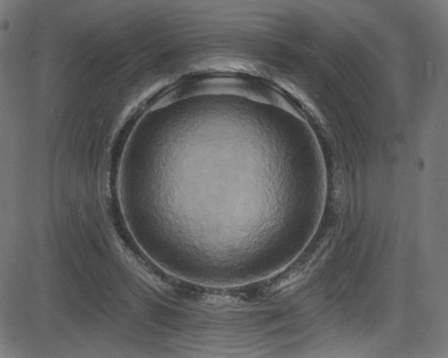 X0000082960399200702011312
