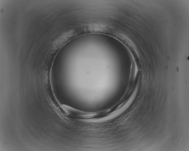 X0000082960401200702011312
