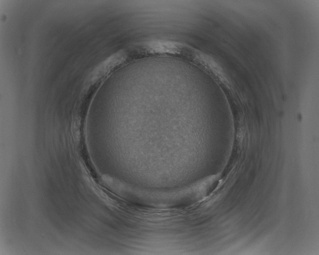 X0000082960402200702011312