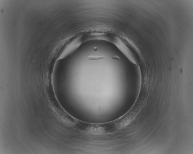 X0000082960403200702011312
