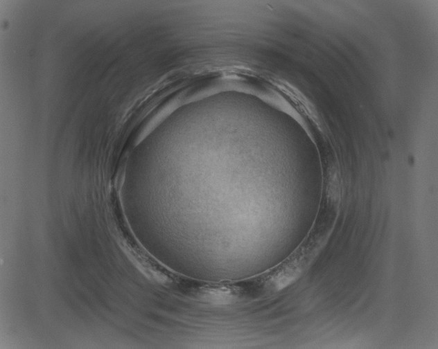 X0000082960405200702011312