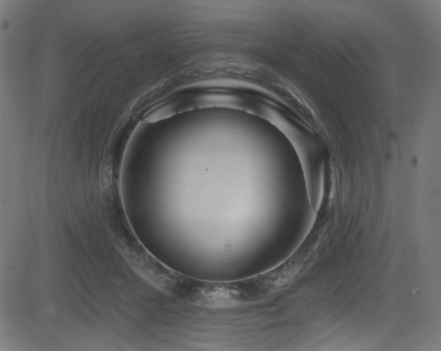 X0000082960407200702011312