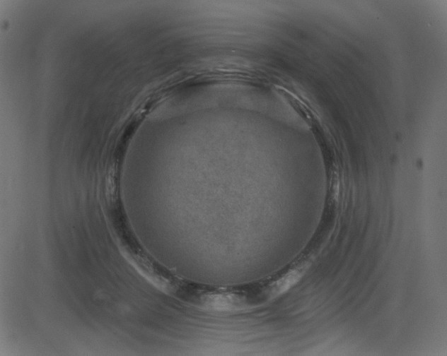 X0000082960408200702011312