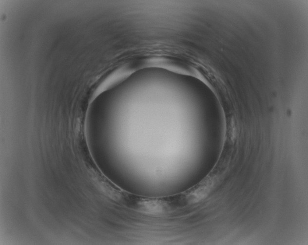 X0000082960417200702011312