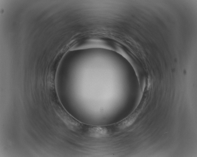 X0000082960421200702011312