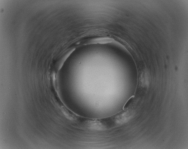 X0000082960424200702011312
