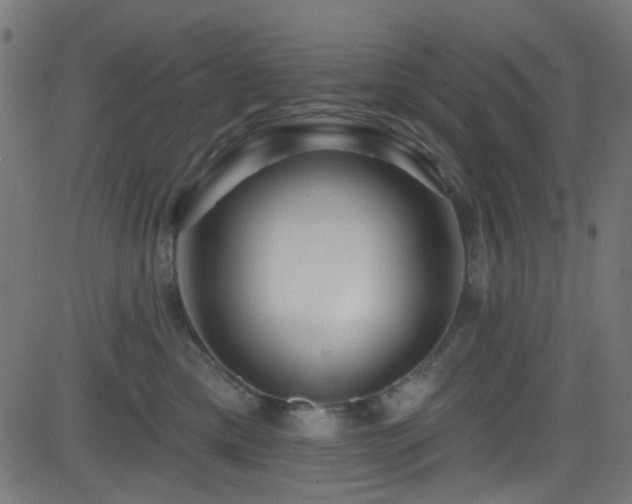 X0000082960425200702011312
