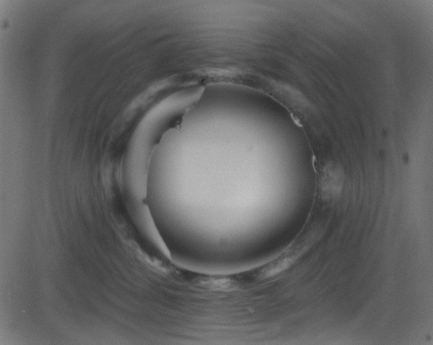 X0000082960428200702011312