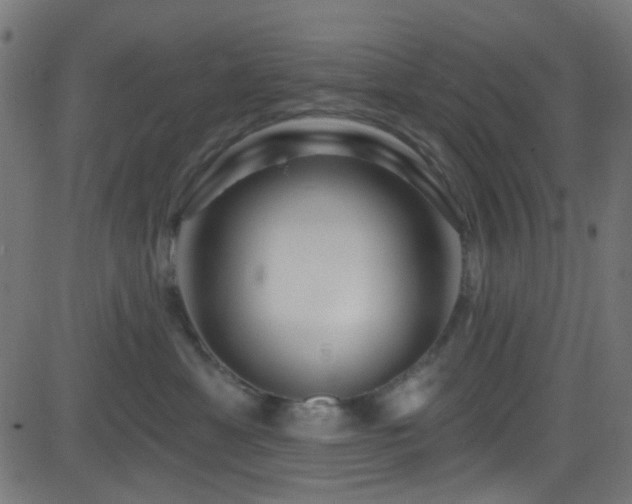 X0000082960429200702011312