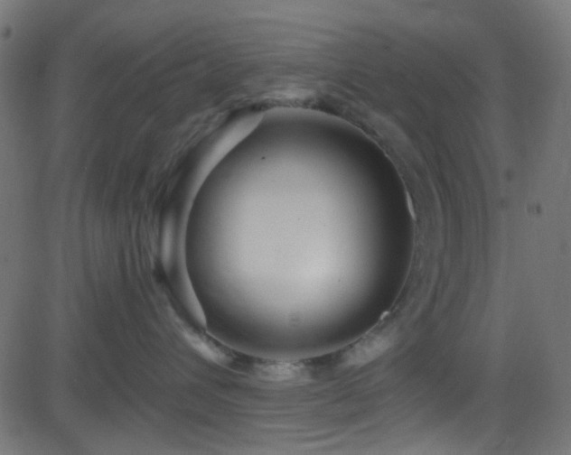 X0000082960432200702011312