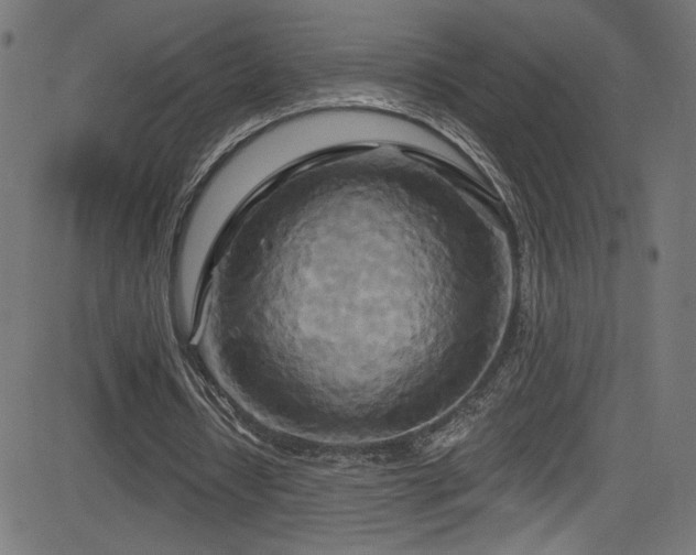 X0000082960434200702011311