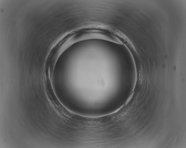 X0000082960436200702011311