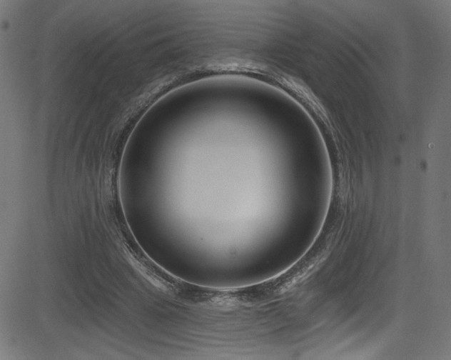 X0000082960441200702011311