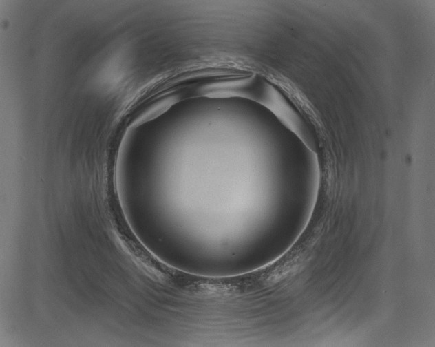 X0000082960442200702011311