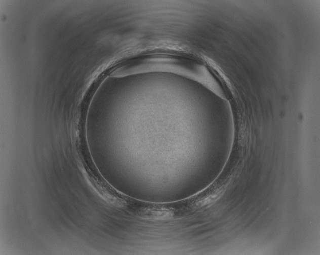 X0000082960443200702011311