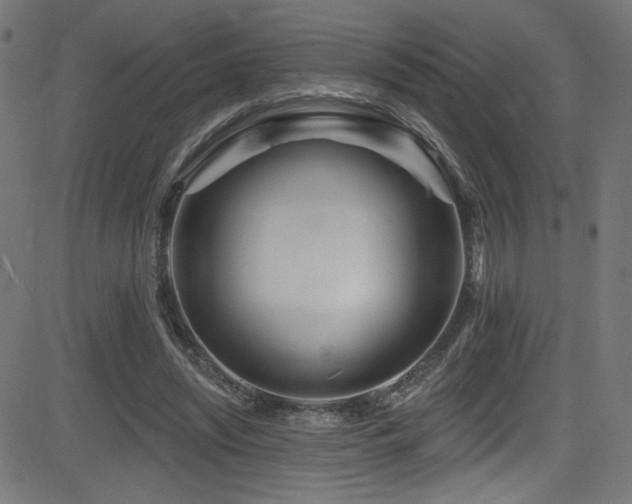 X0000082960444200702011311