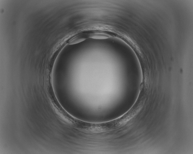 X0000082960445200702011311