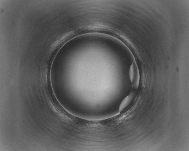 X0000082960446200702011311