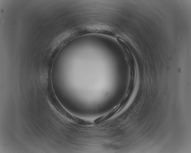 X0000082960448200702011311