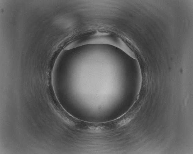 X0000082960450200702011311