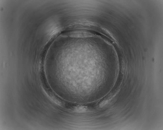X0000082960451200702011311