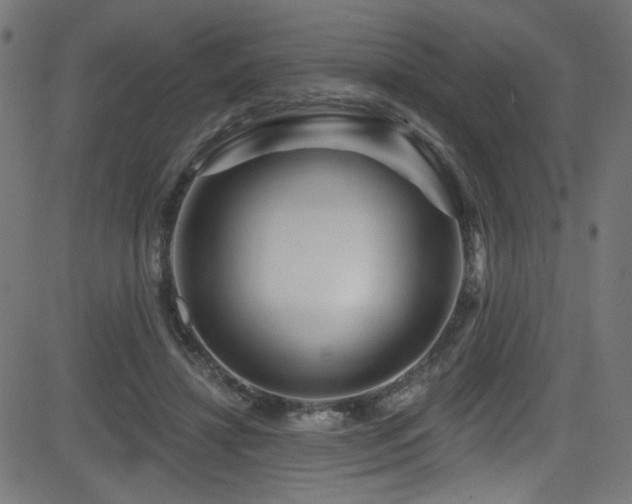 X0000082960452200702011311