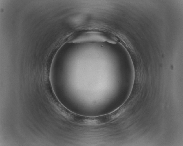 X0000082960457200702011311