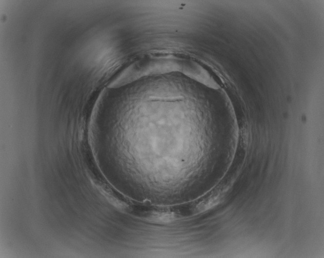 X0000082960458200702011311